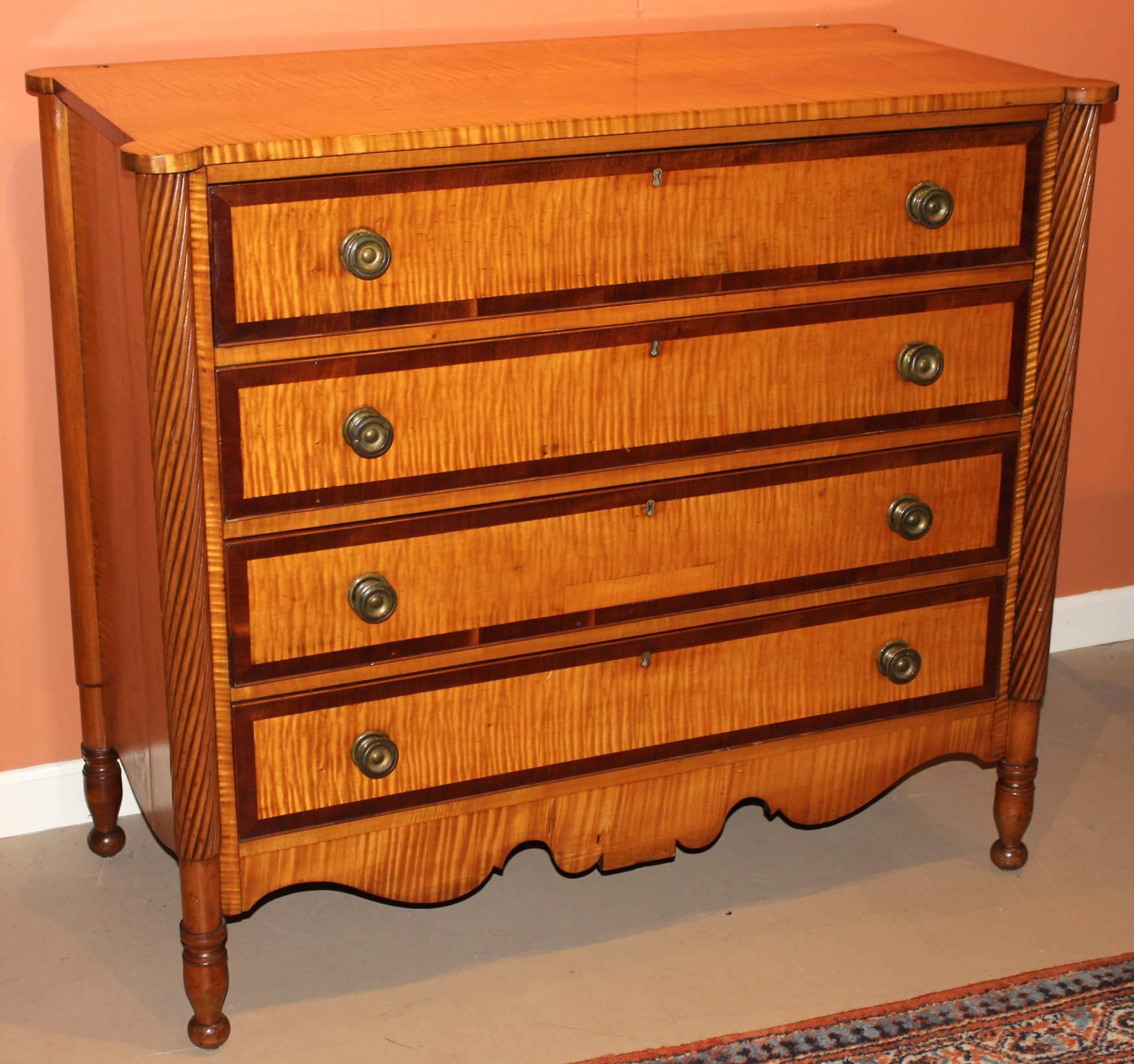A Federal period Sheraton tiger maple chest featuring a removable crest with turned pilasters above a rectangular top with ovolu corners and four cherrywood banded and beaded drawers appearing to retain their original punched brass hardware. The