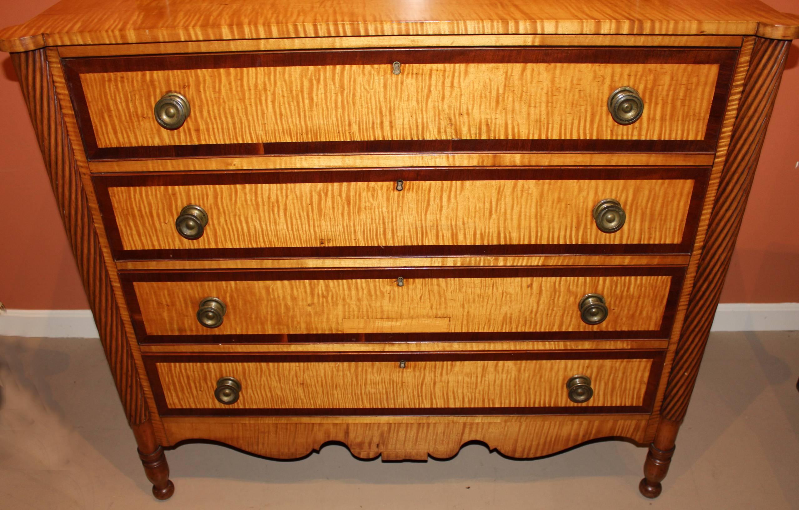 Carved Federal Period Sheraton Tiger Maple and Cherry Four-Drawer Chest