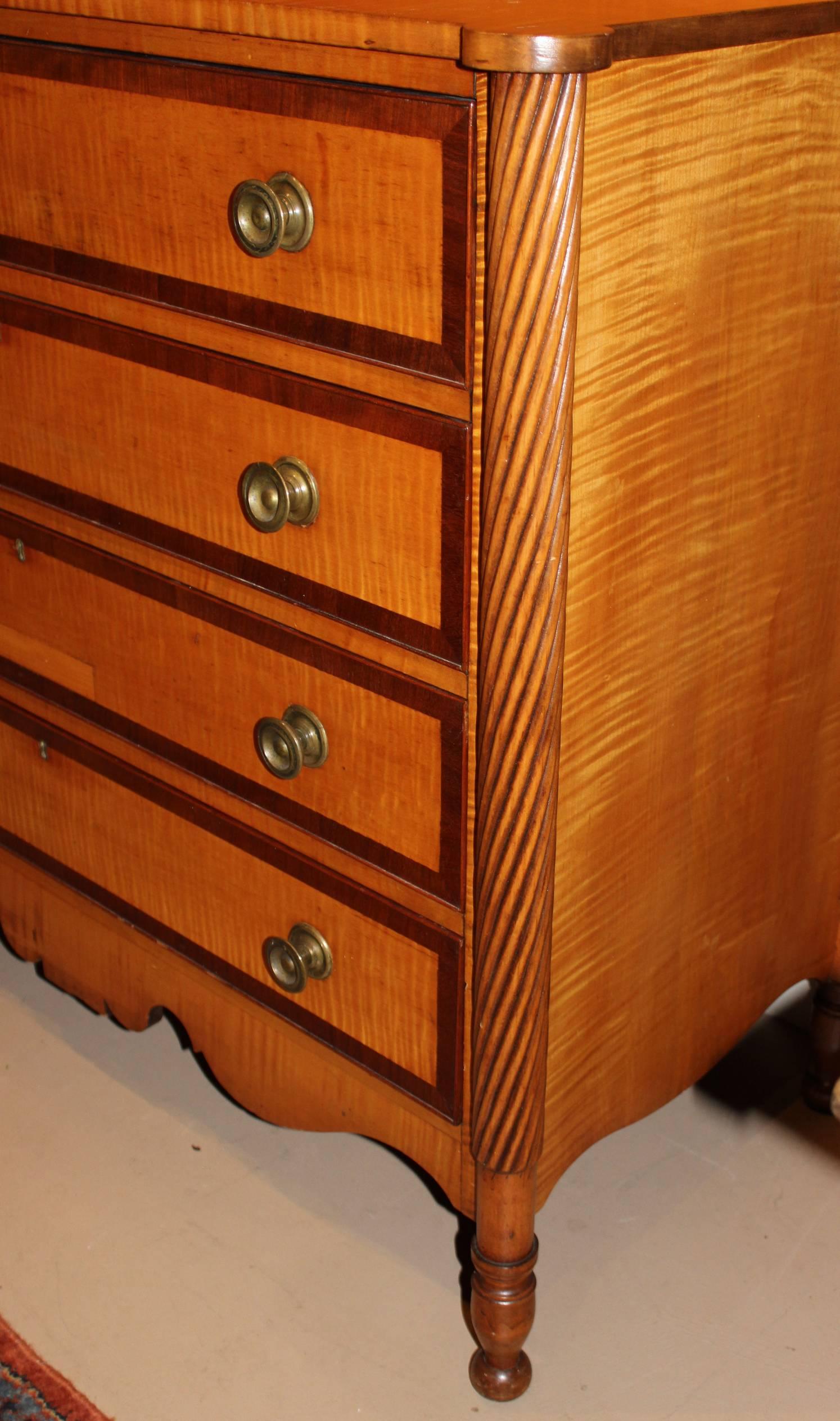 Federal Period Sheraton Tiger Maple and Cherry Four-Drawer Chest In Excellent Condition In Milford, NH