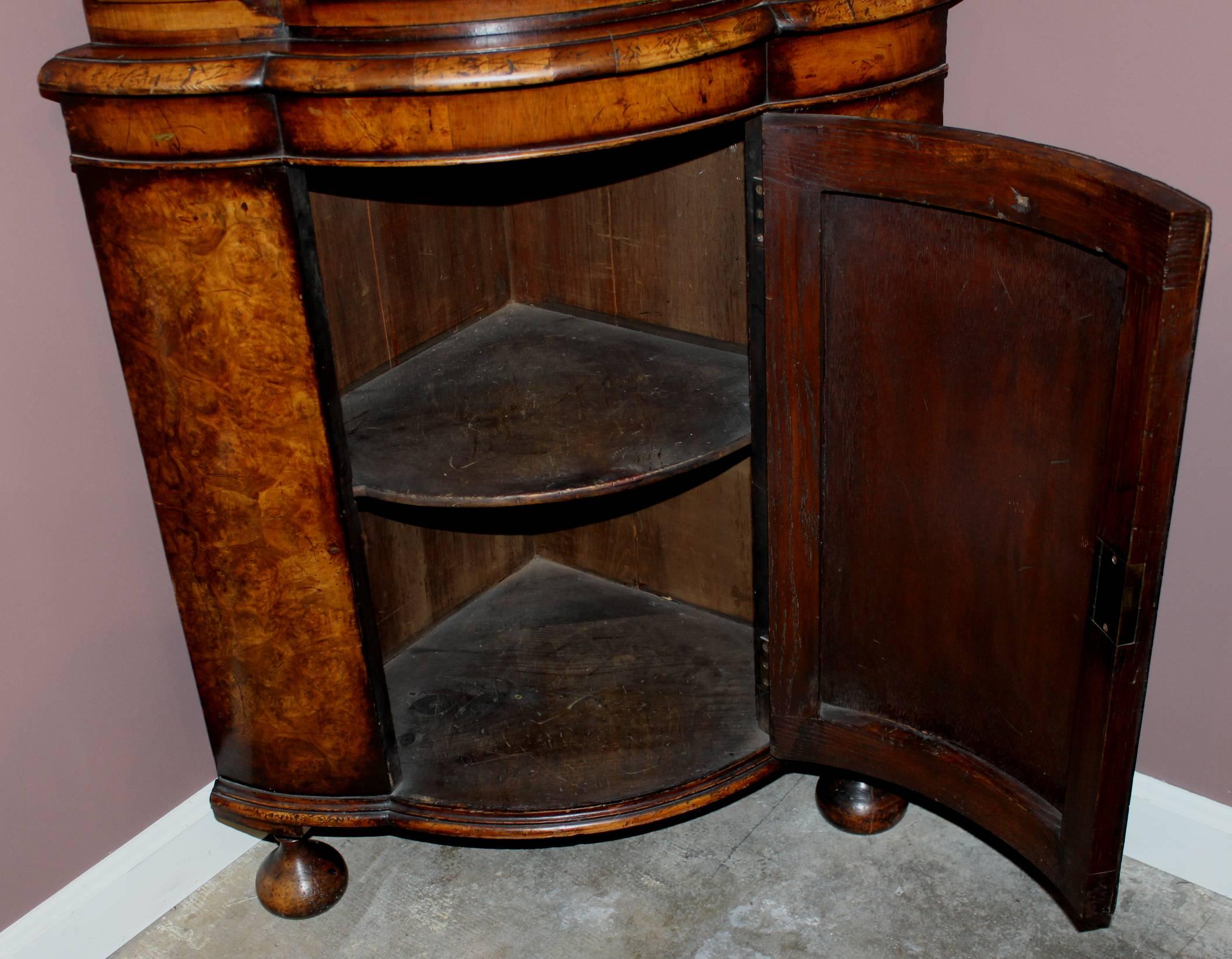 18th Century Dutch Burled Walnut Two-Door Petite Corner Cupboard 2