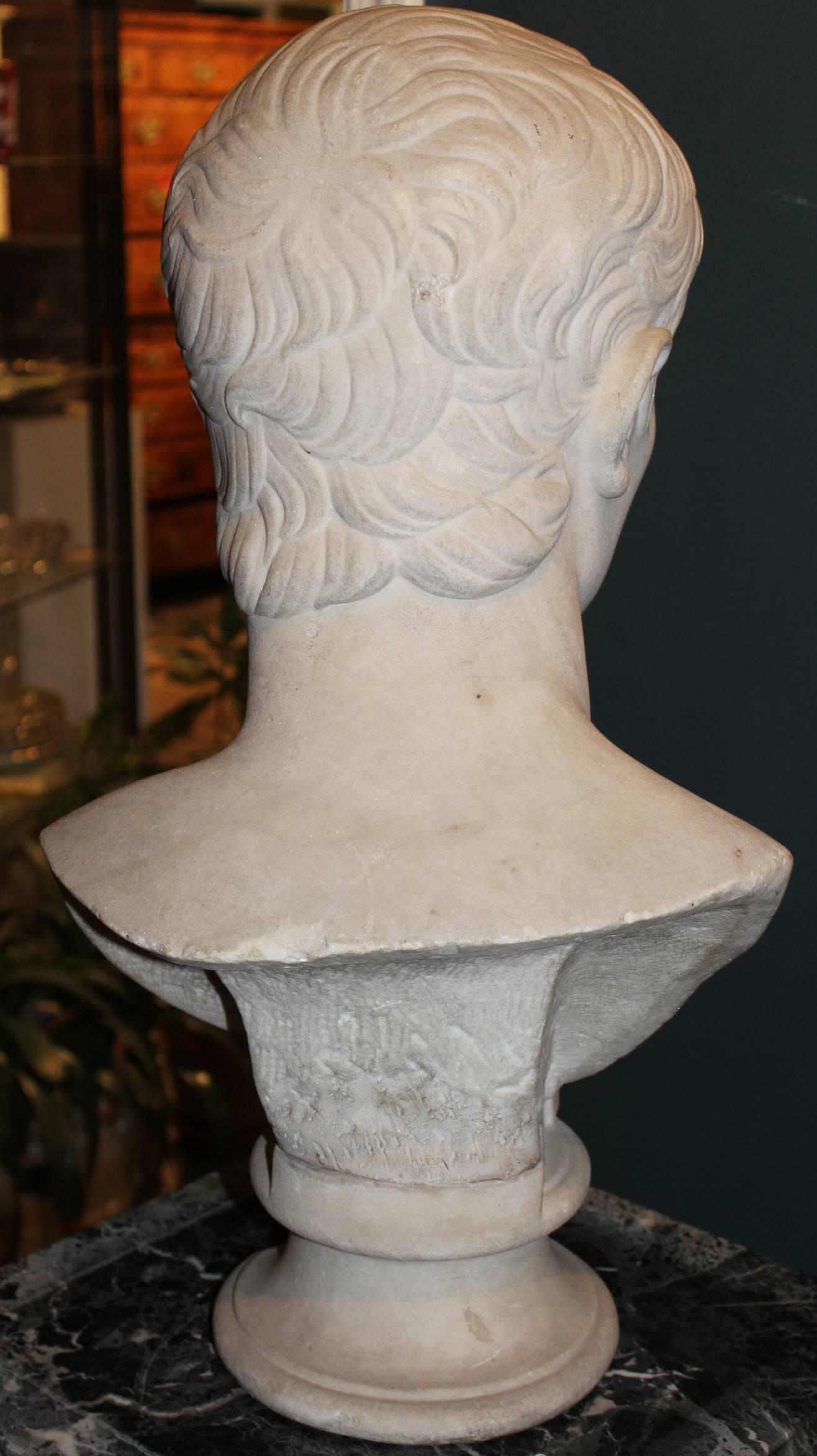 19th Century Grand Tour Marble Bust of Caesar In Good Condition In Milford, NH