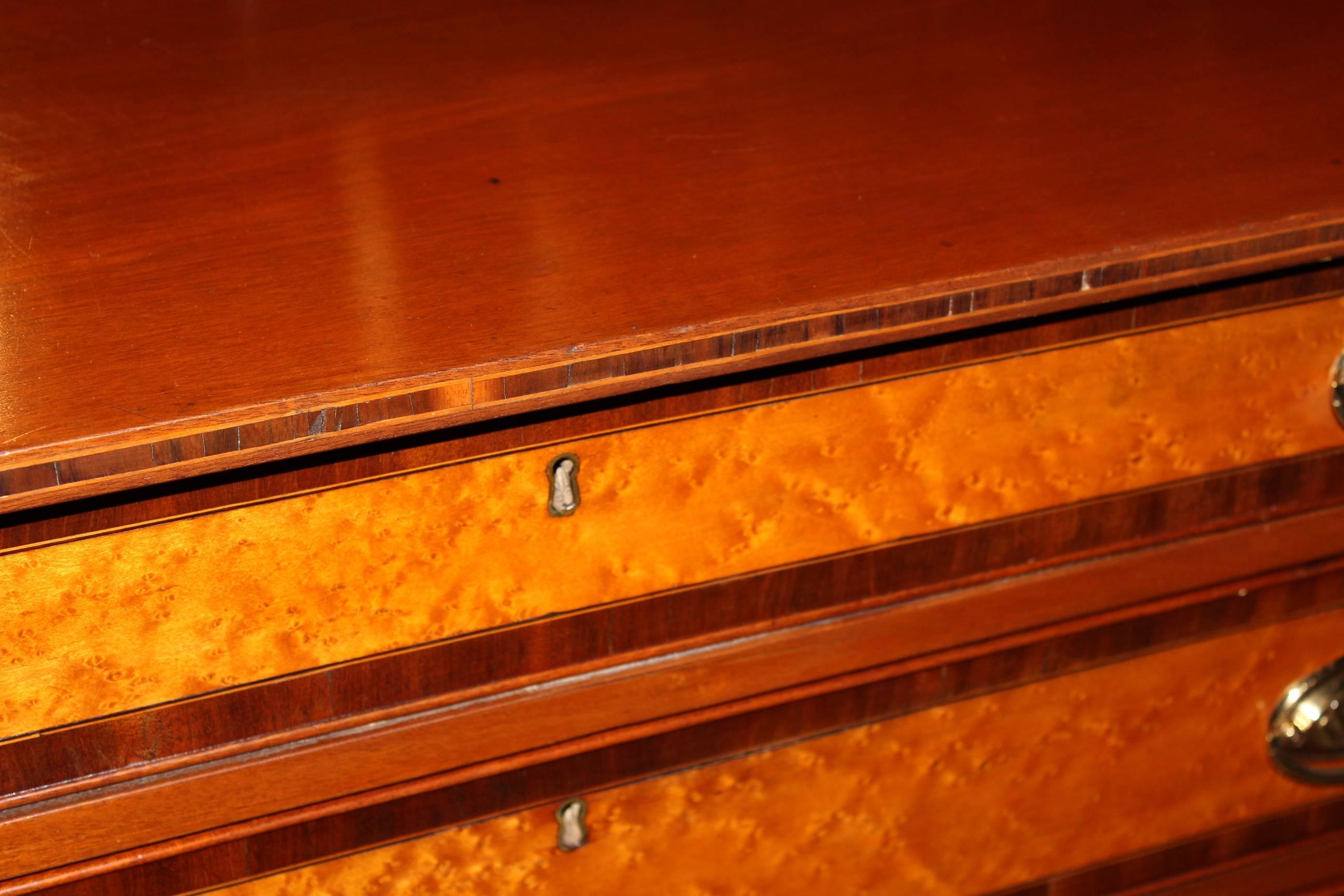 Carved Federal Period Hepplewhite Chest of Drawers with Birdseye Maple Drawer Fronts