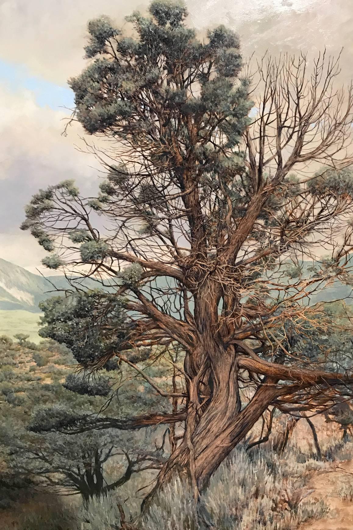 American Erick Ingraham Oil Painting Landscape, Colorado High Desert