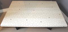 Peter Sandback Modernist Low Rectangle Table in Bleached Ash and Wenge
