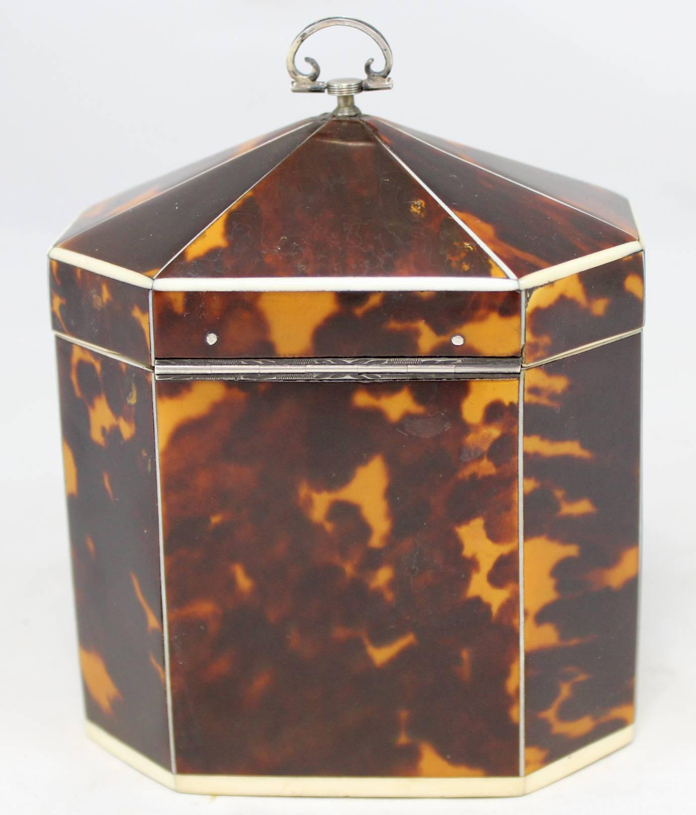 Carved Exceptional Late 18th Century English Tea Caddy in Tortoiseshell