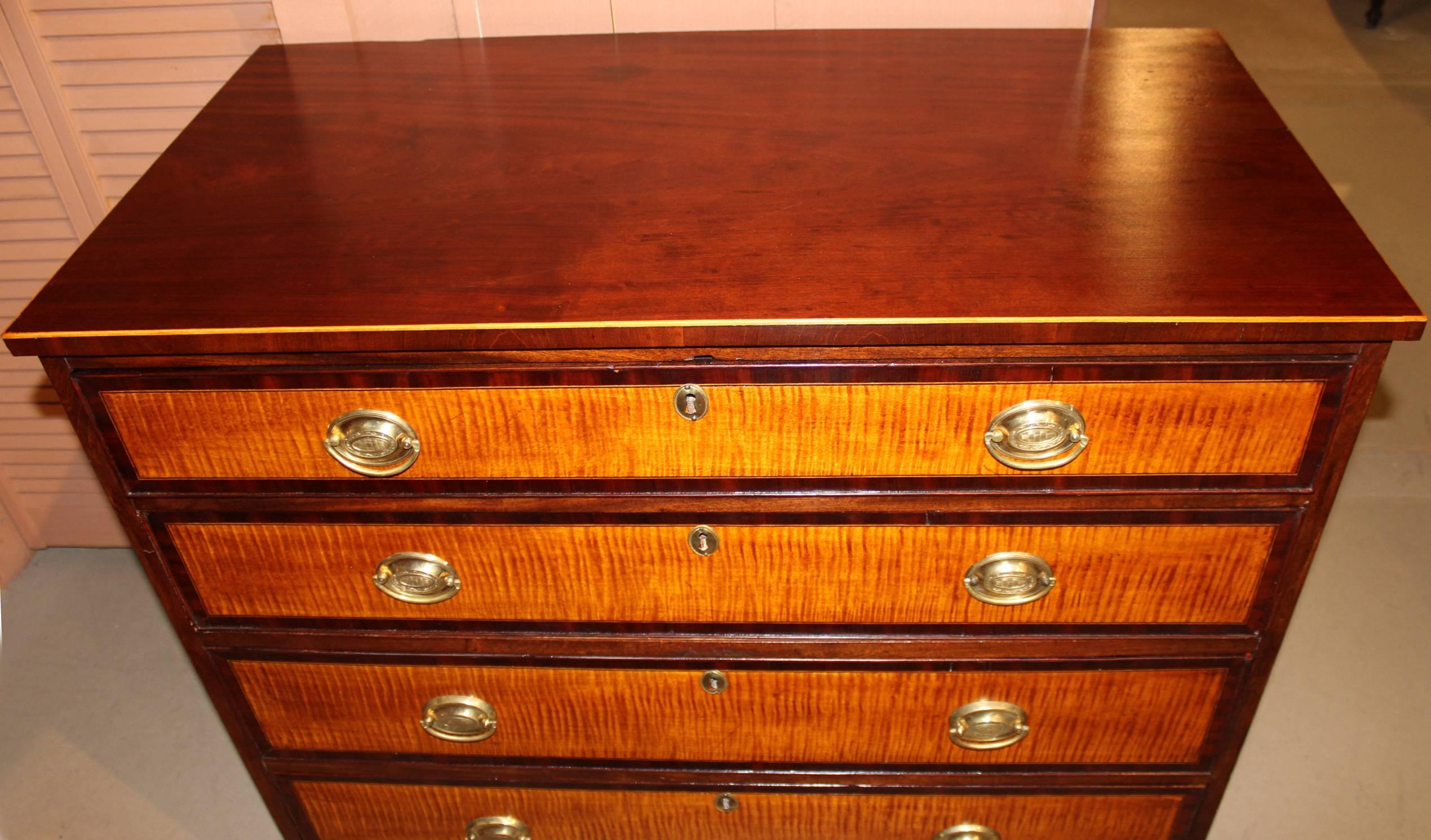 A fine Hepplewhite cherry graduated four drawer chest with tiger maple drawer fronts banded in mahogany, with cockbeaded edges, delicate line inlay along the top and bottom, decorative oval brasses, and a shaped skirt with an oval center inlaid