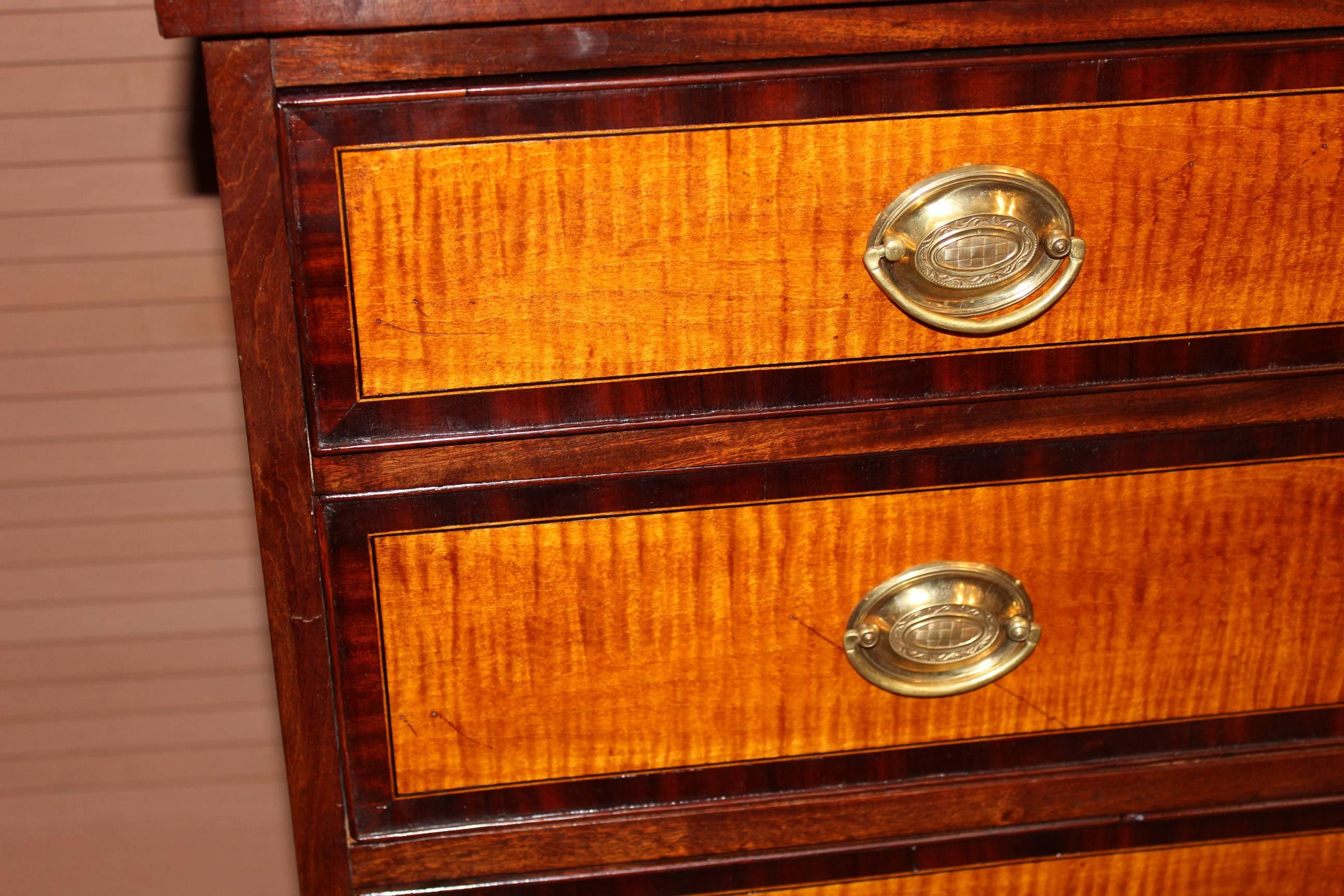 Carved Federal New England Hepplewhite Chest with Tiger Maple Drawer Fronts