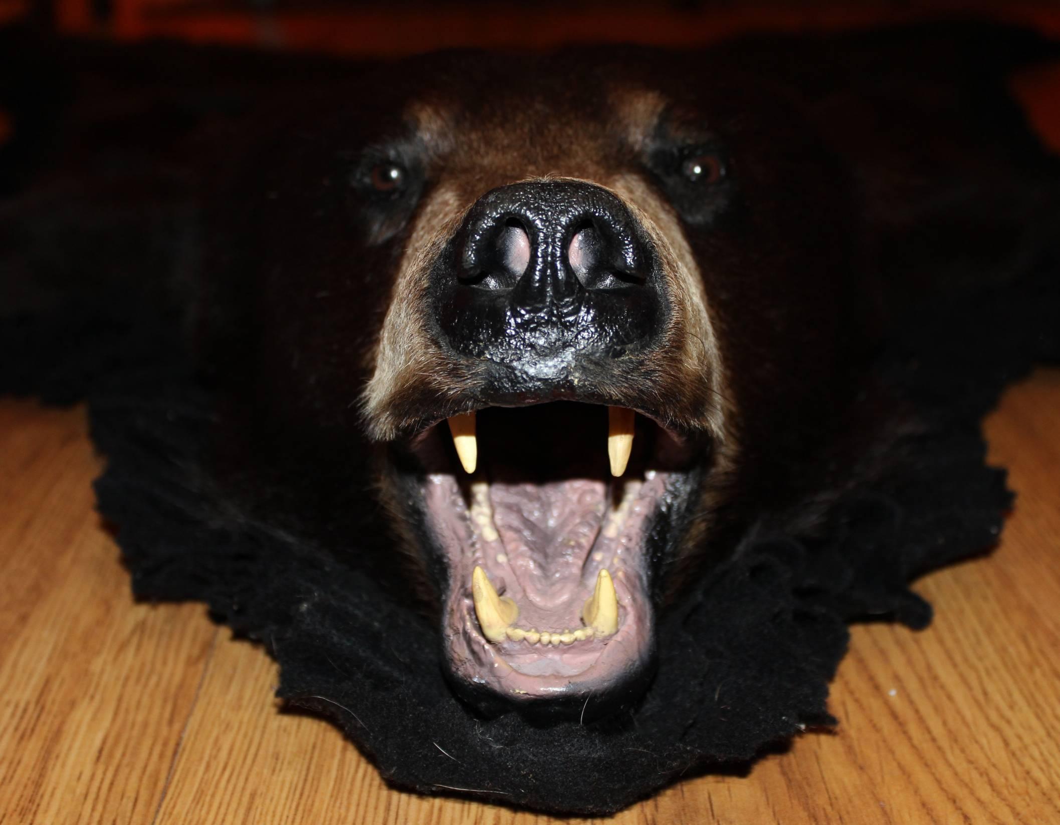 tapis peau ours