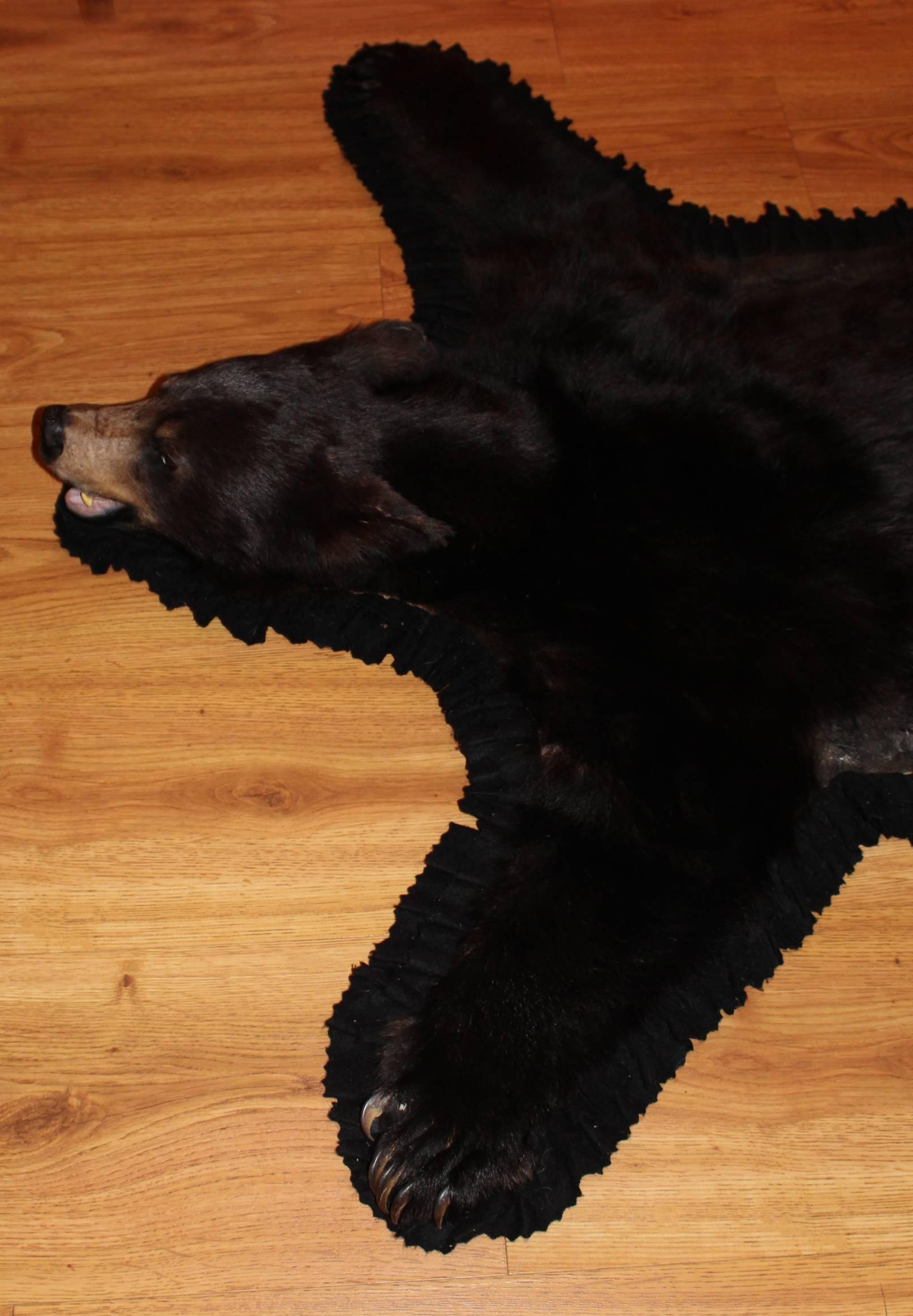 peau ours noir