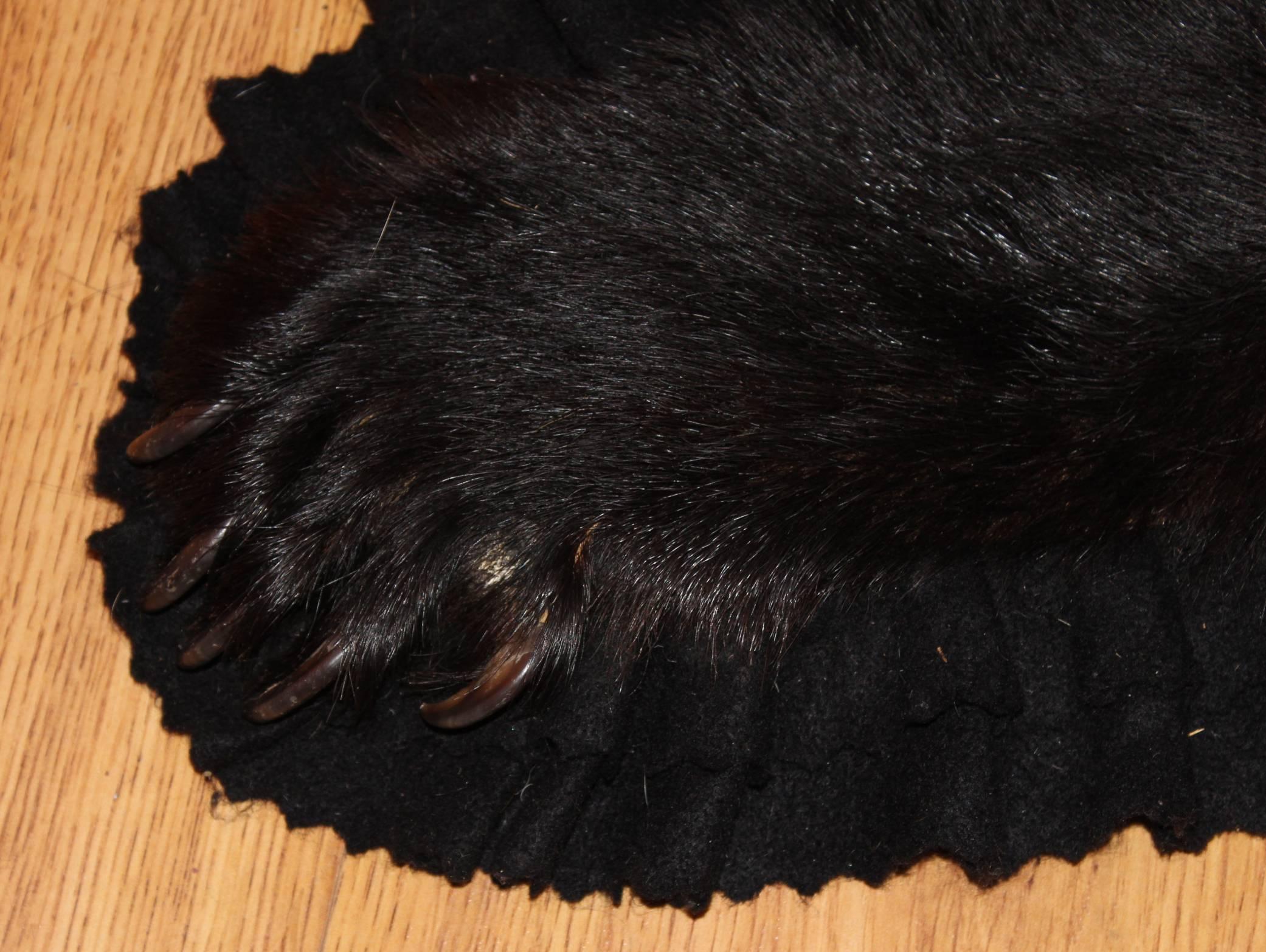 Tapis en peau d'ours noir américain ou canadien du 20e siècle 1