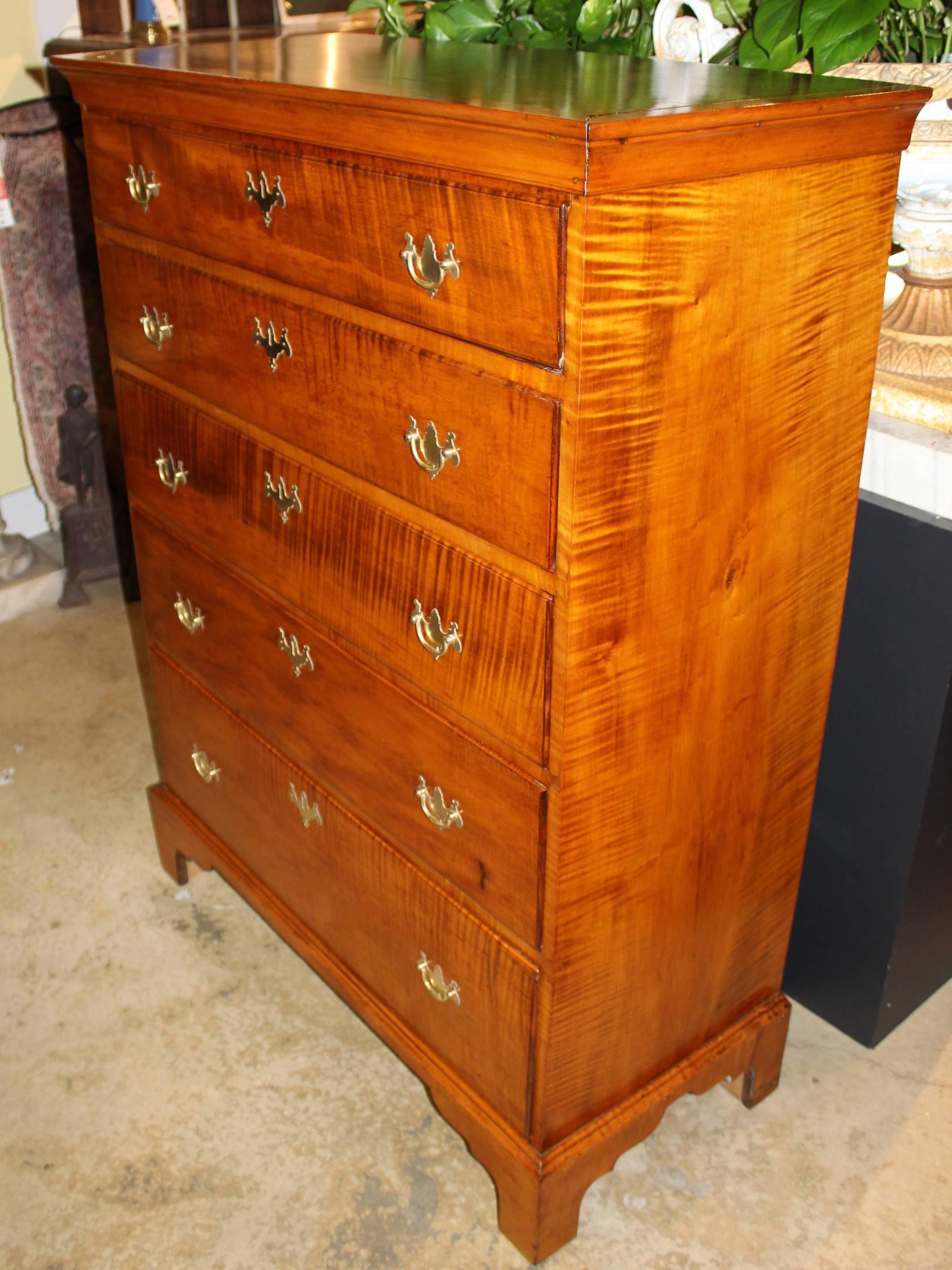 A fine example of an 18th century New England Chippendale tall chest in bold tiger maple with molded cornice over a case with five graduated drawers, with appropriate replaced batwing brasses, all supported by nicely carved bracket feet. Excellent
