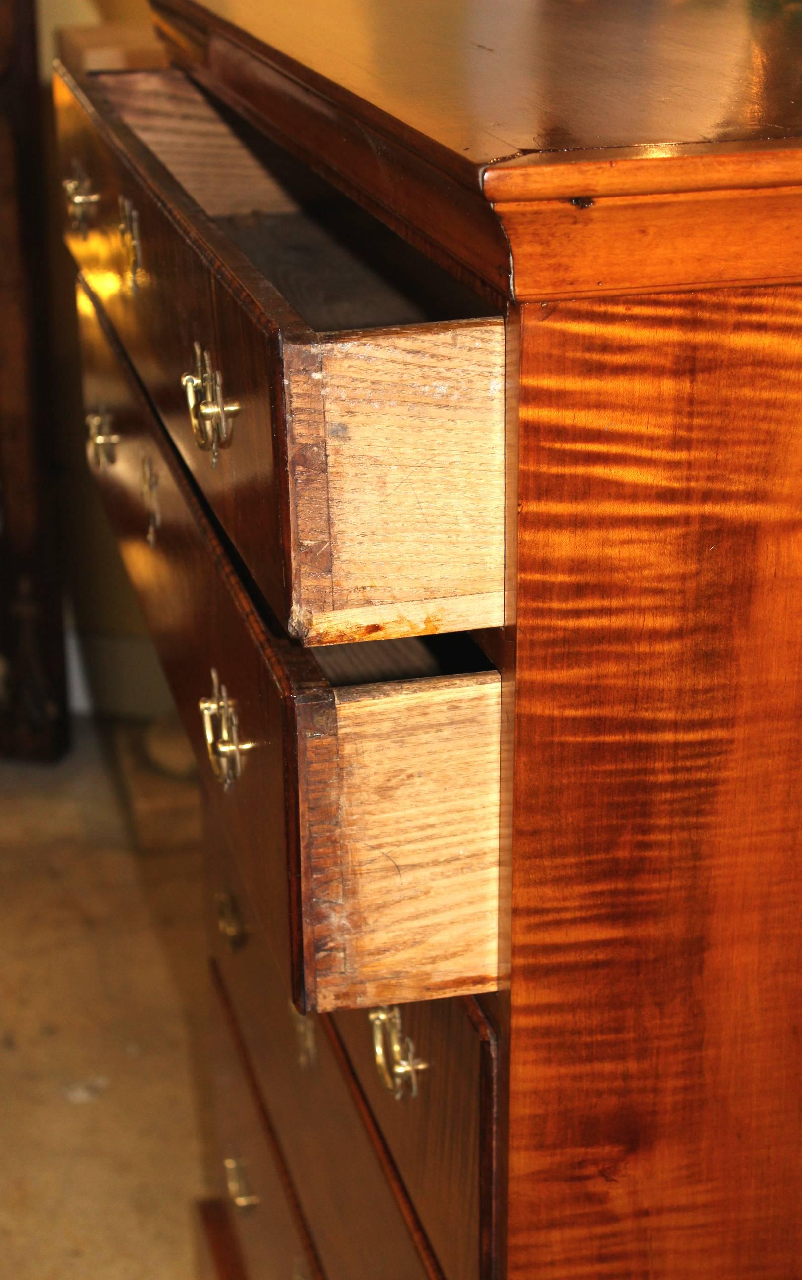 English 18th Century New England Chippendale Tiger Maple Five Drawer Tall Chest