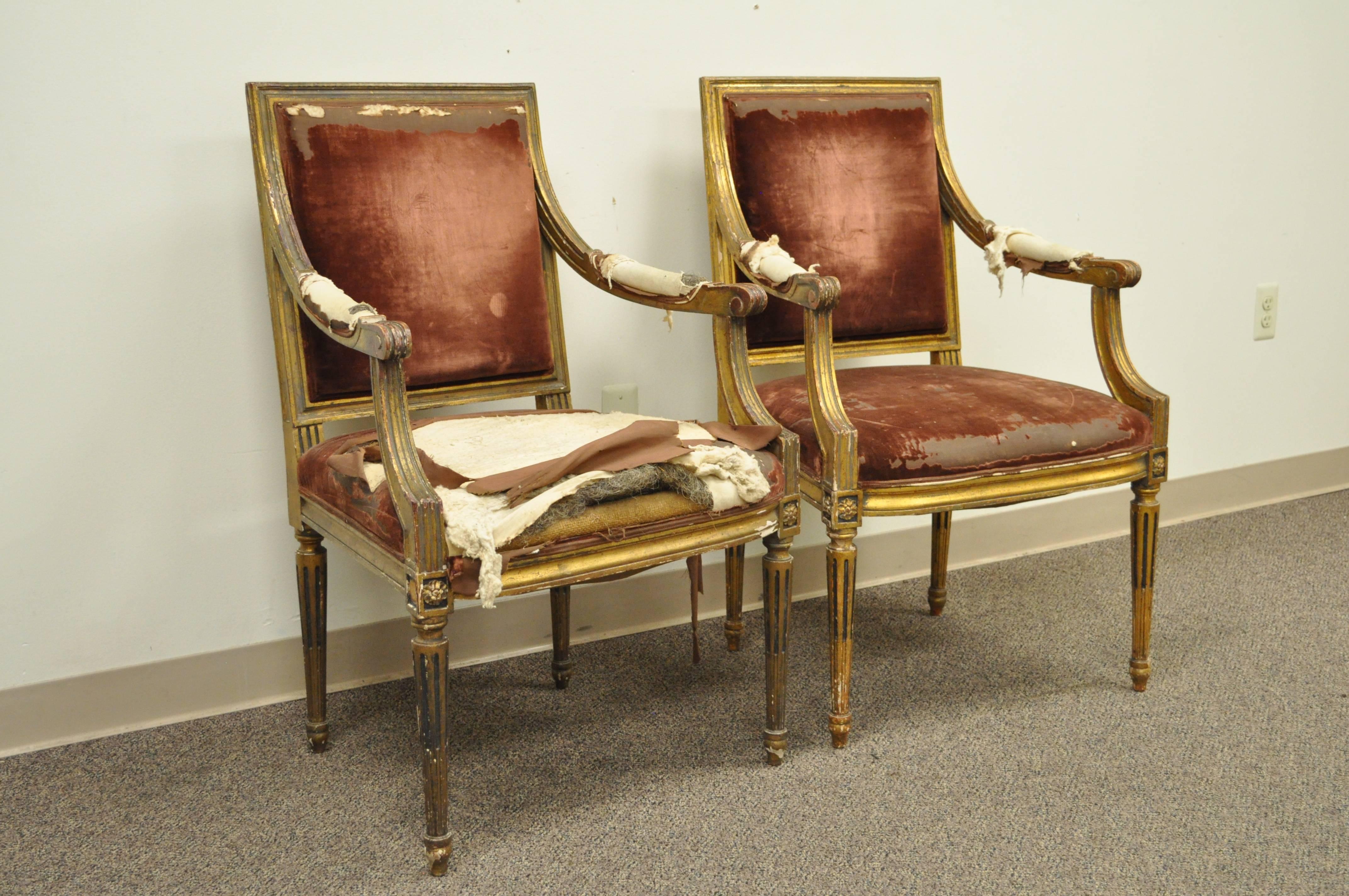 Pair of Gold Giltwood 19th Century French Louis XVI Style Dining Armchairs 4