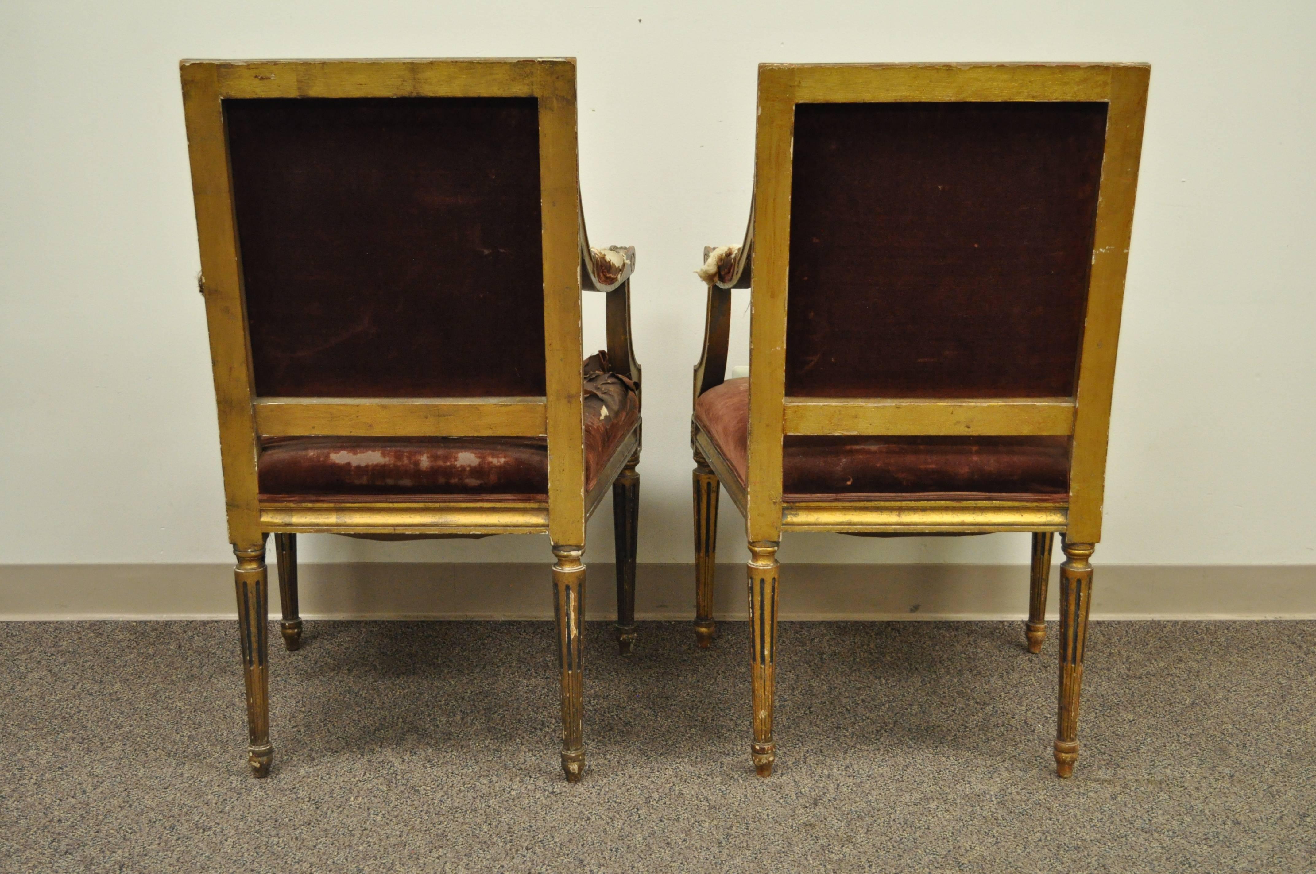 Pair of Gold Giltwood 19th Century French Louis XVI Style Dining Armchairs 3