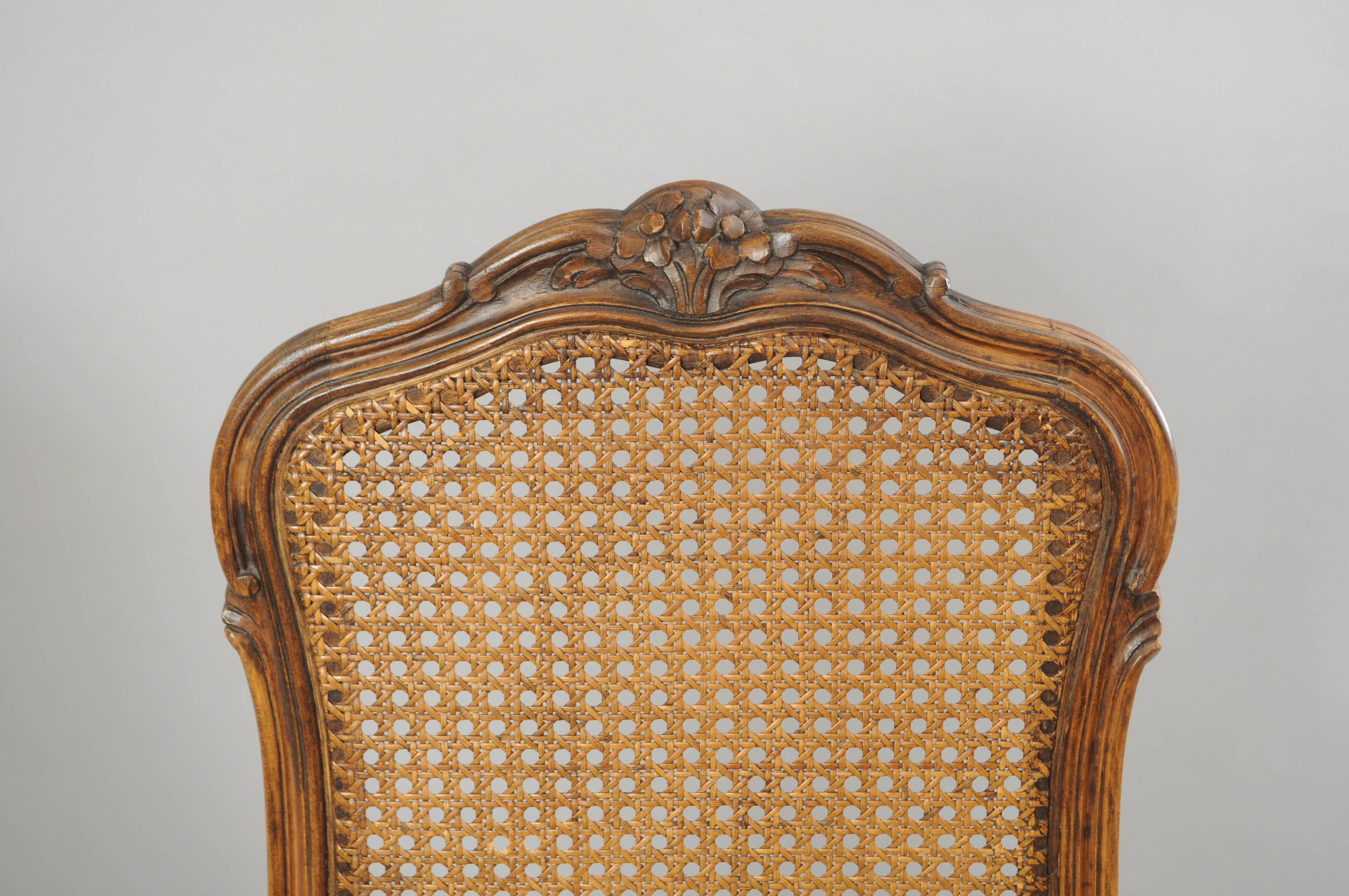 french provincial cane back chairs