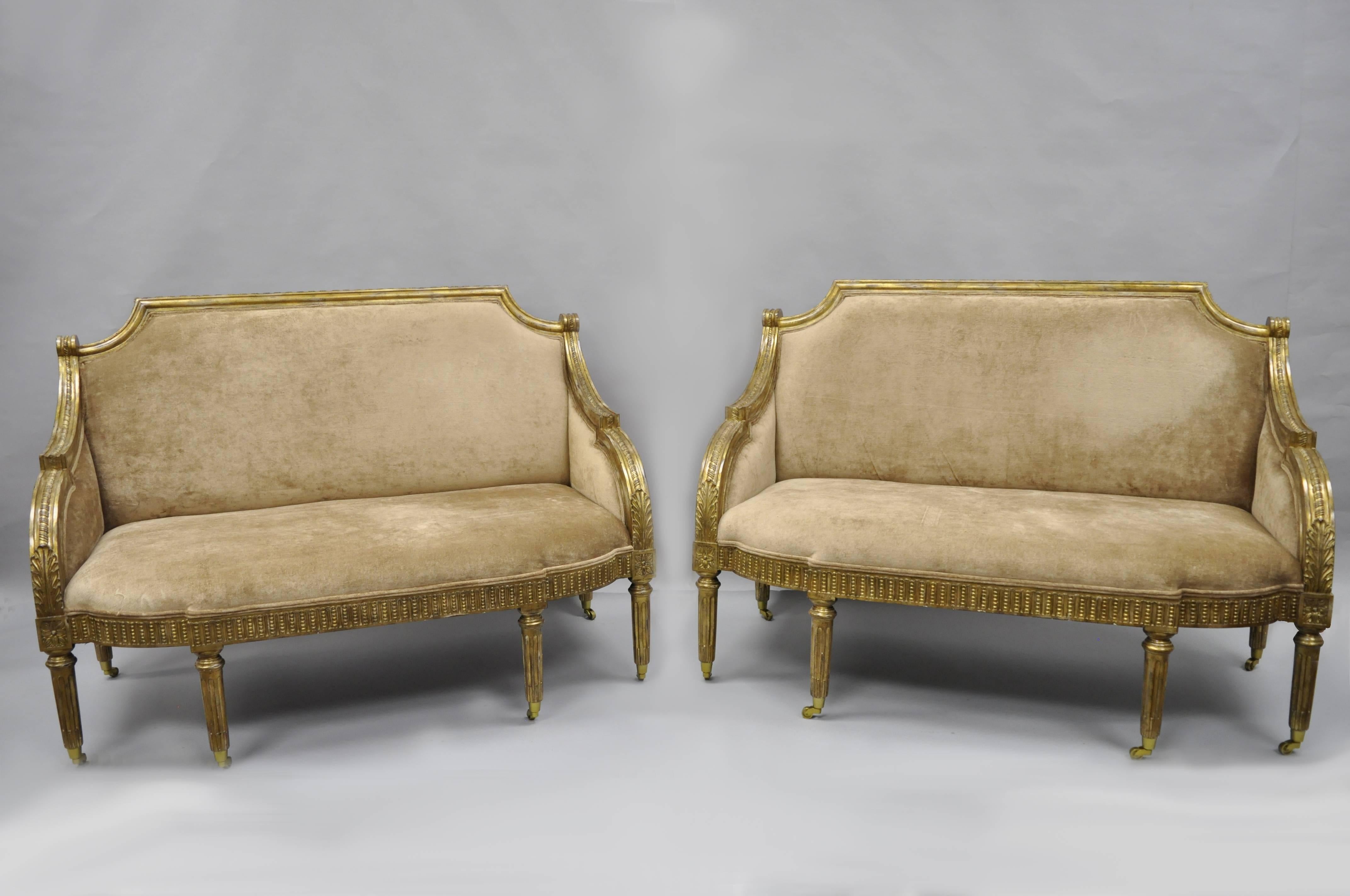 Pair of Maitland-Smith French Empire/neoclassical style gold loveseats. The pair features shapely carved wood frames, antiqued / distressed gold finish, six reeded and tapered legs on brass rolling casters and original Maitland-Smith brass plaque