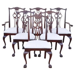 Dining Room Chairs