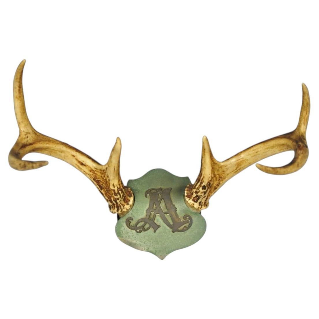 Placa metálica con forma de escudo y cuernos de ciervo de cola blanca, de taxidermia victoriana antigua, para colgar en la pared