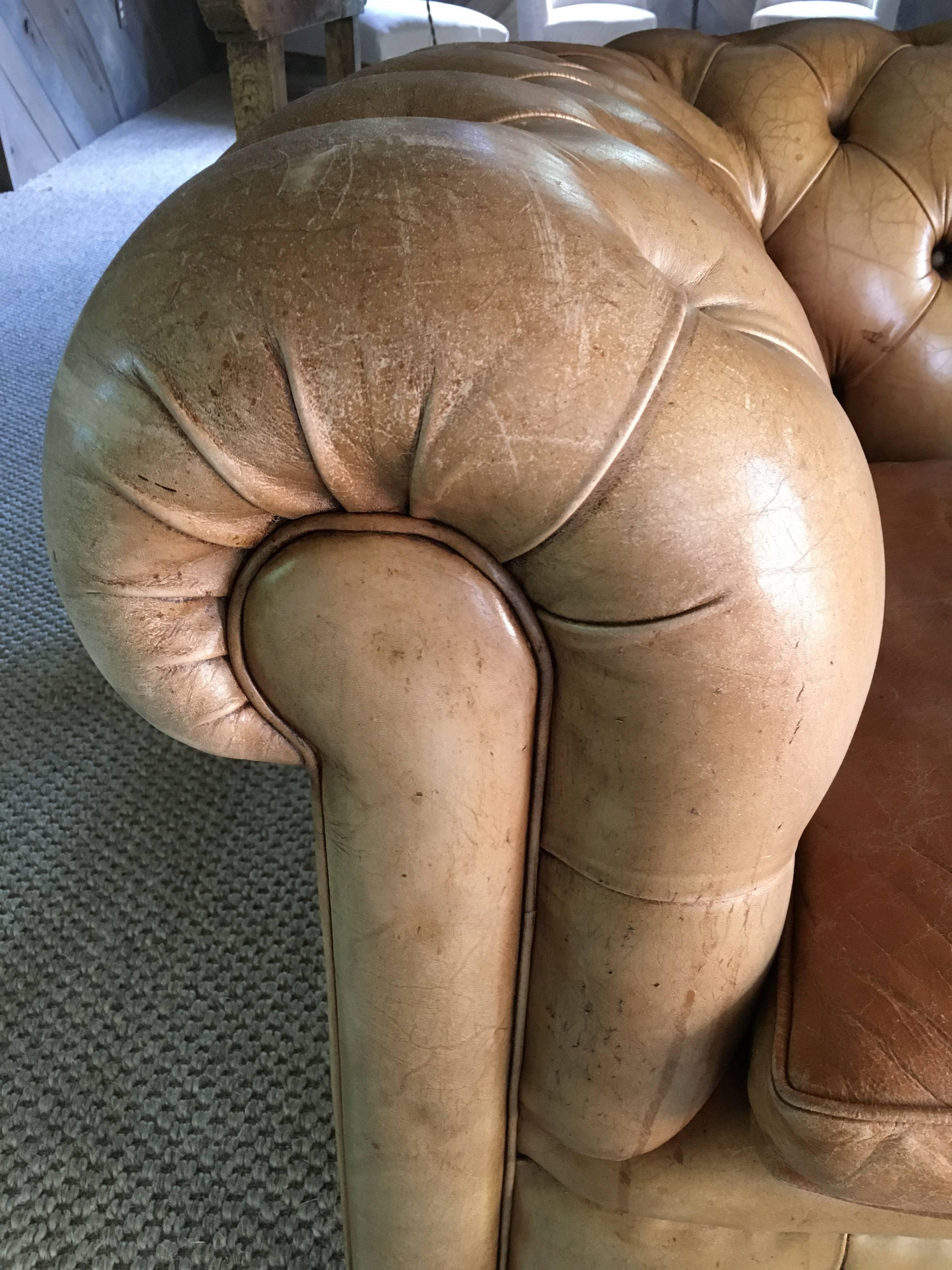 French Leather Chesterfield Sofa, circa 1900 In Good Condition In Nashville, TN