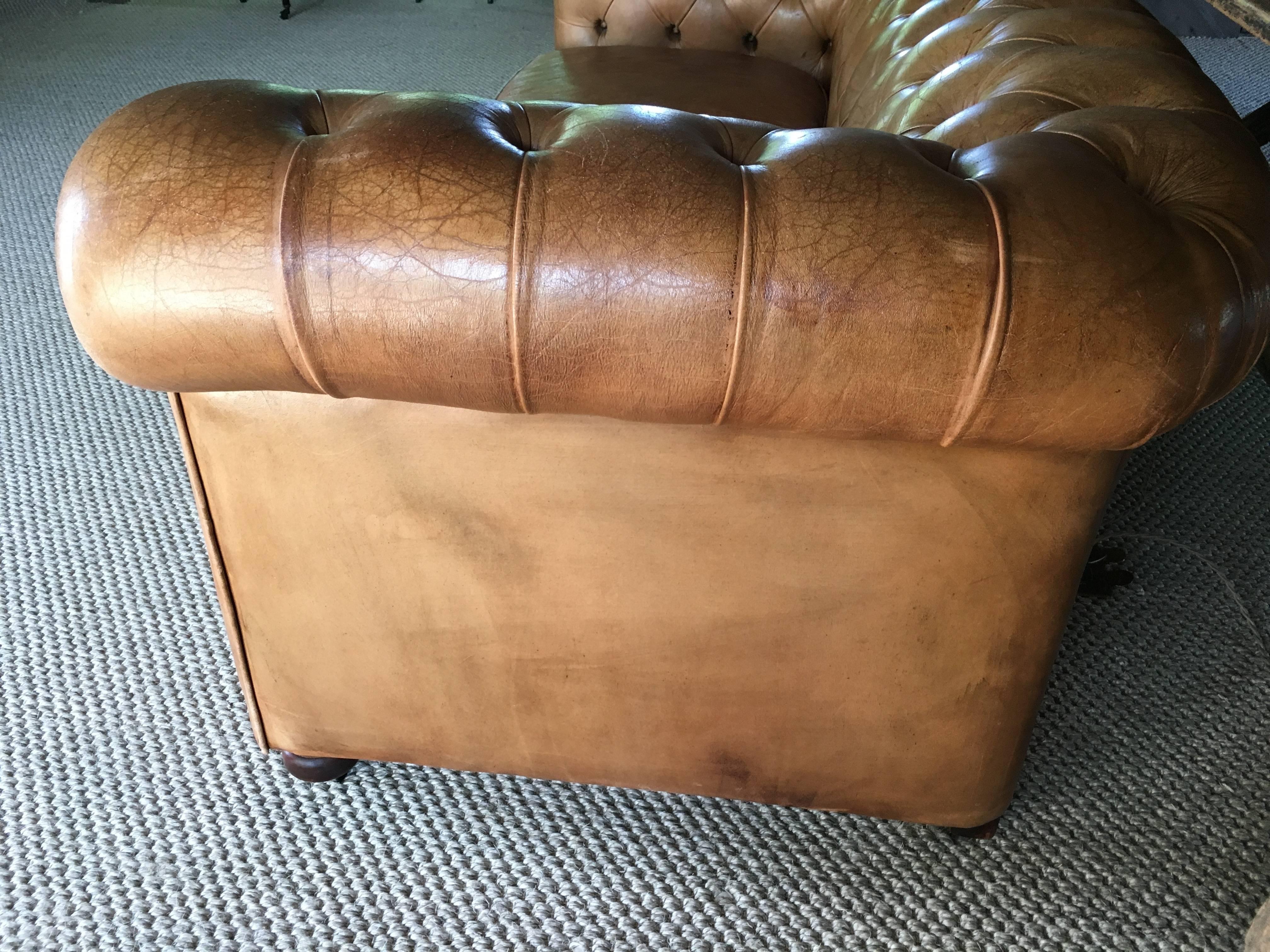 French Leather Chesterfield Sofa, circa 1900 2
