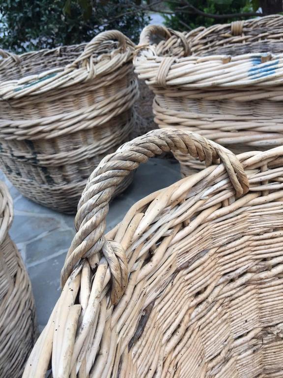 Antique French Estate Grape Harvesting Baskets For Sale at 1stDibs