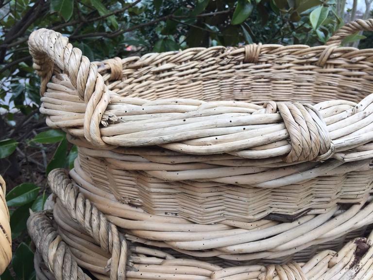 Antique French Estate Grape Harvesting Baskets For Sale at 1stDibs