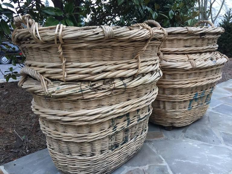 Antique French Estate Grape Harvesting Baskets For Sale at 1stDibs