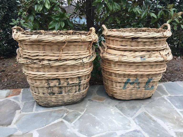 Antique French Estate Grape Harvesting Baskets For Sale at 1stDibs