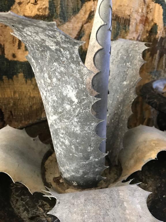 Three Late 1800s Antique French Zinc Aloes For Sale at 1stDibs