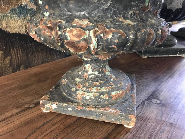 Three Late 1800s Antique French Zinc Aloes For Sale at 1stDibs