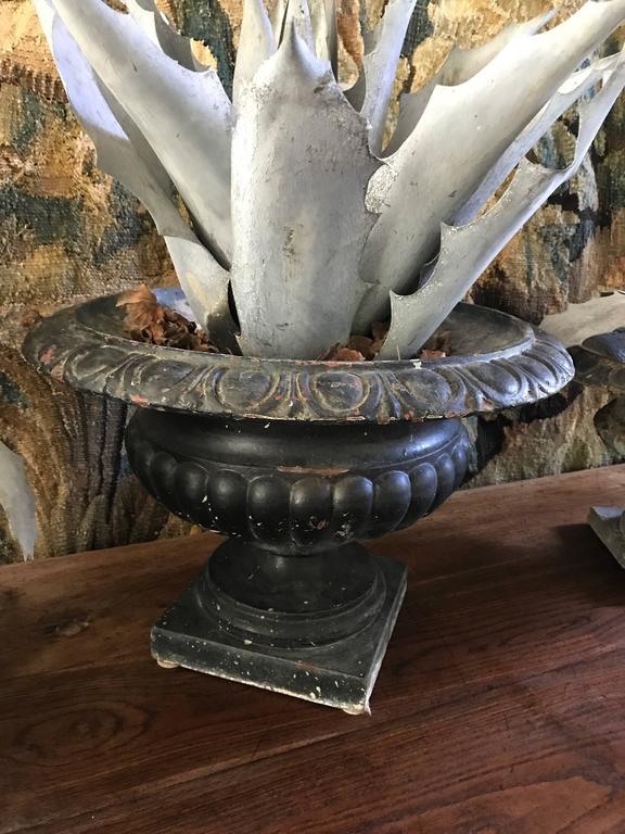 Three Late 1800s Antique French Zinc Aloes For Sale at 1stDibs