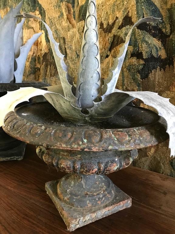 Three Late 1800s Antique French Zinc Aloes For Sale at 1stDibs