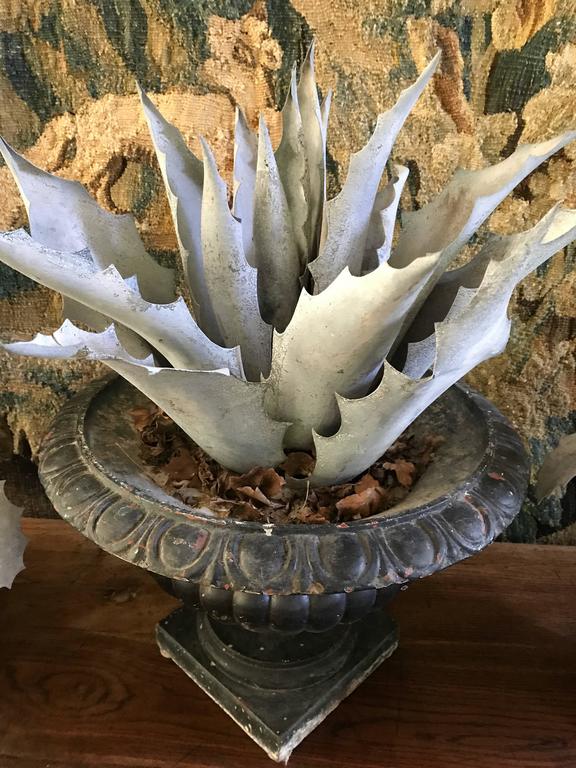 Three Late 1800s Antique French Zinc Aloes For Sale at 1stDibs