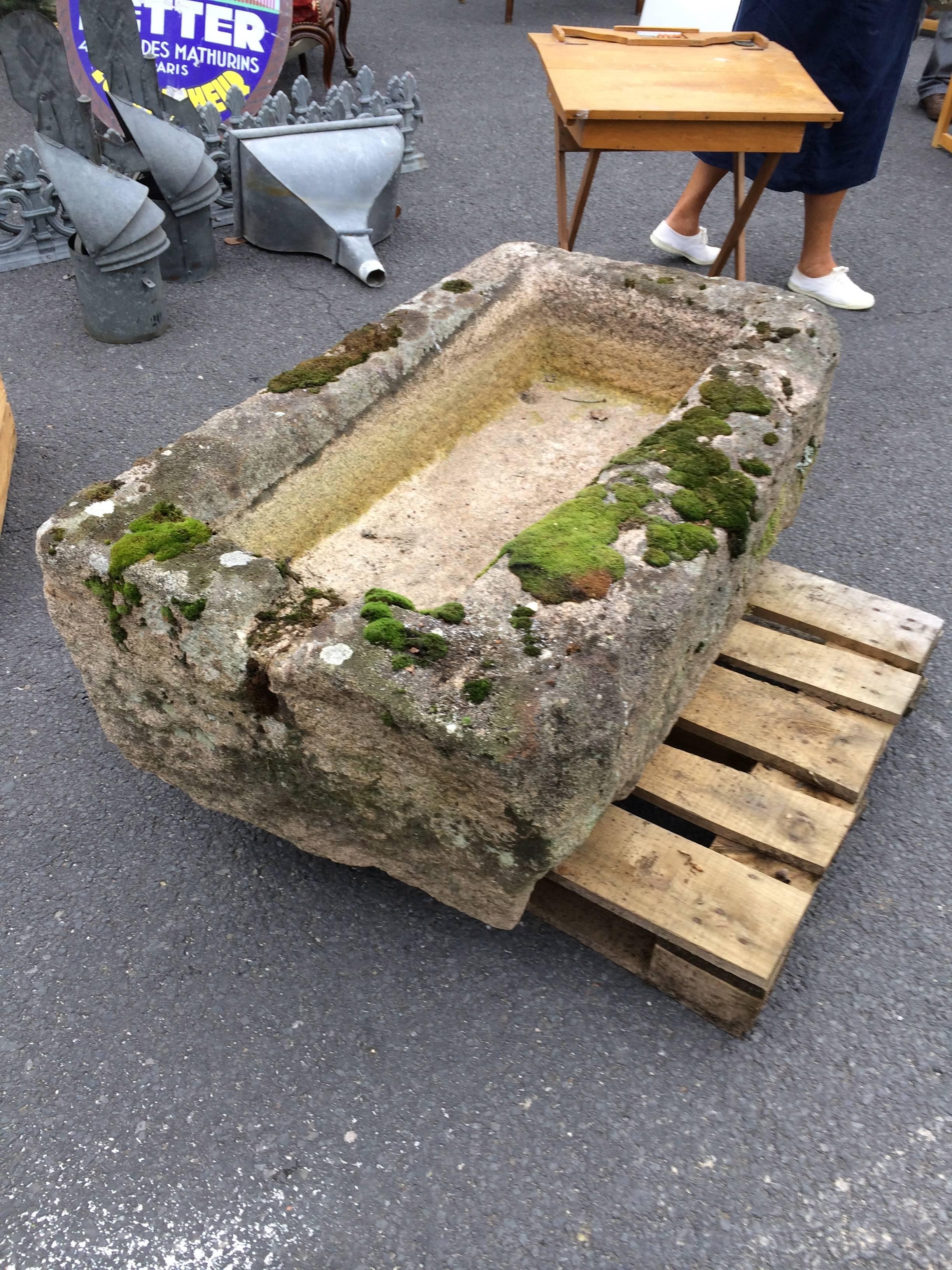 Antique French Stone Trough 4