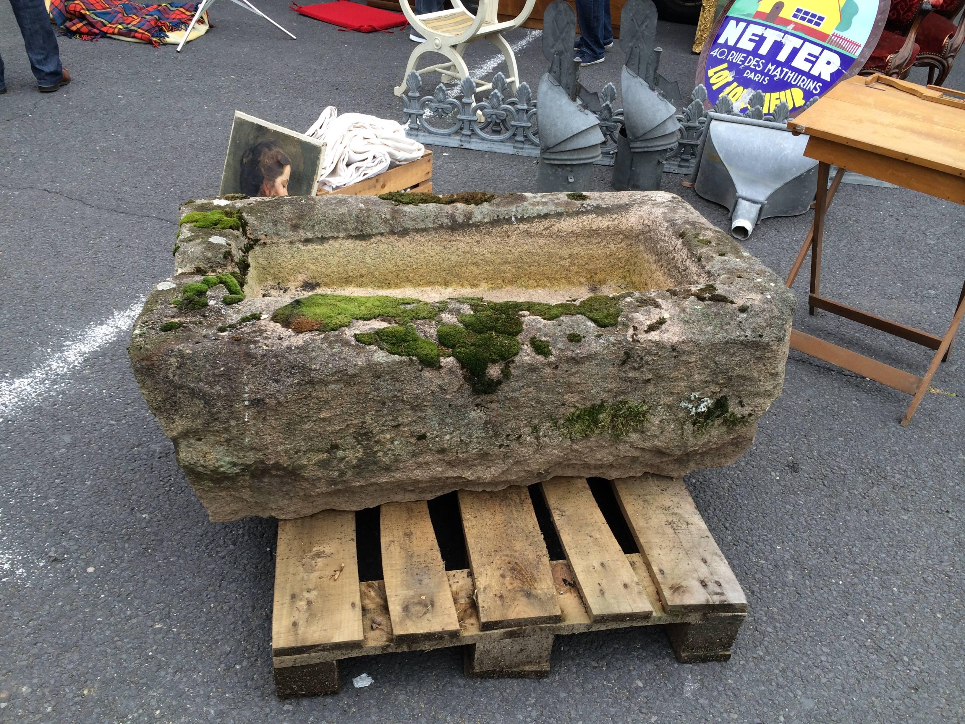Antique French Stone Trough 3