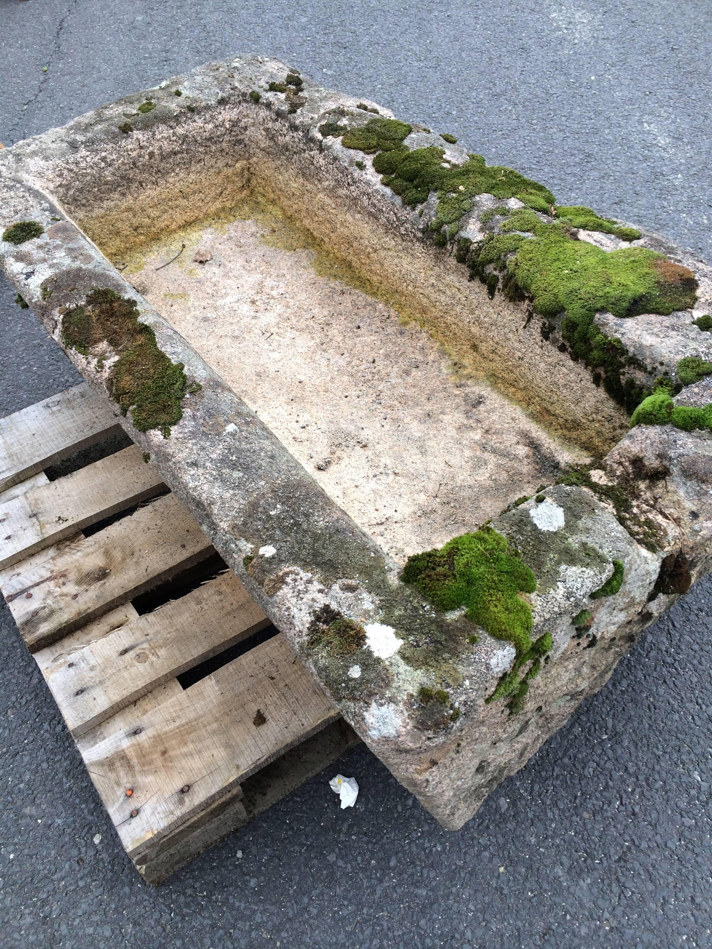 Antique French Stone Trough 2