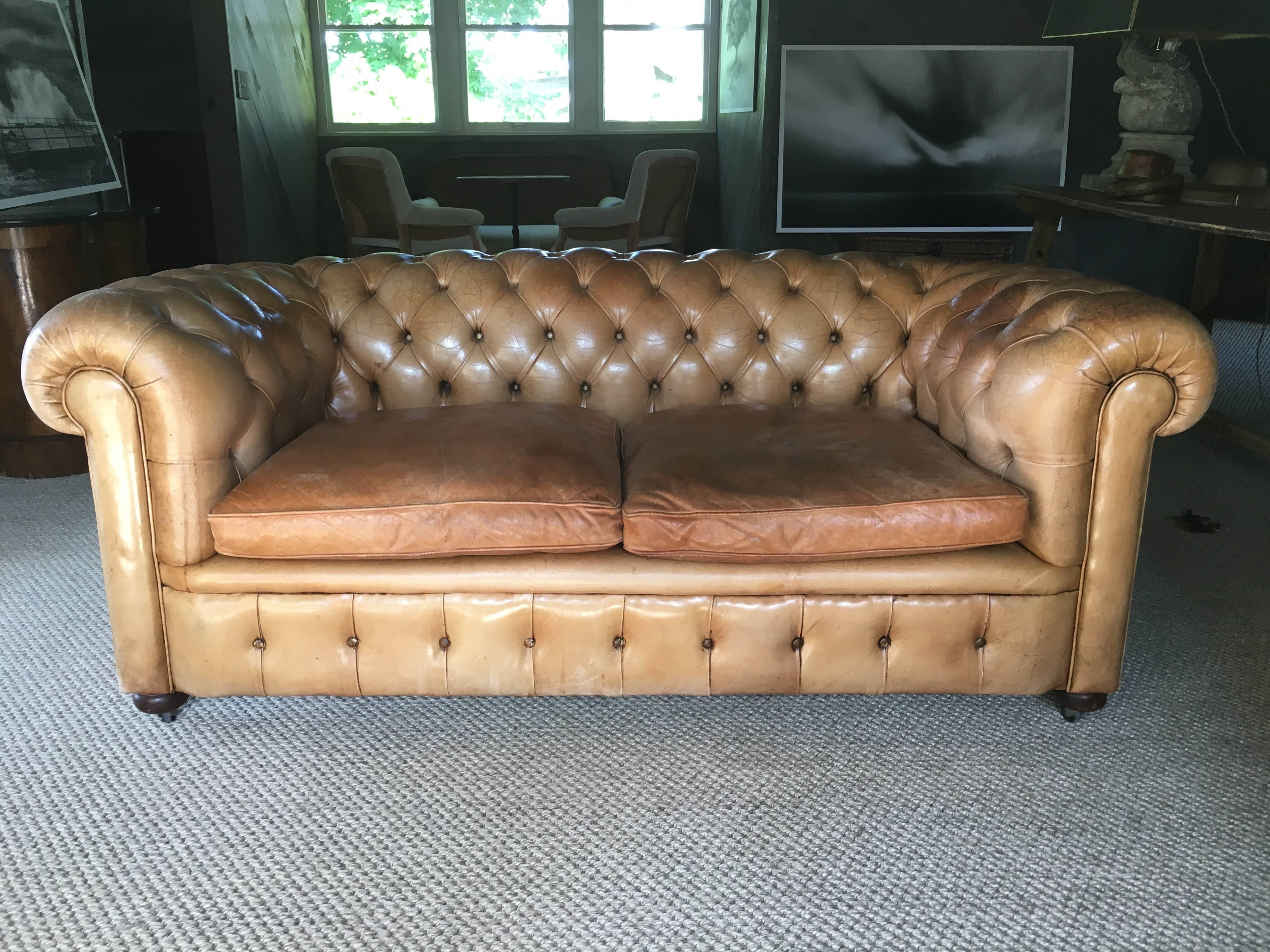 French Leather Chesterfield Sofa, circa 1900 5