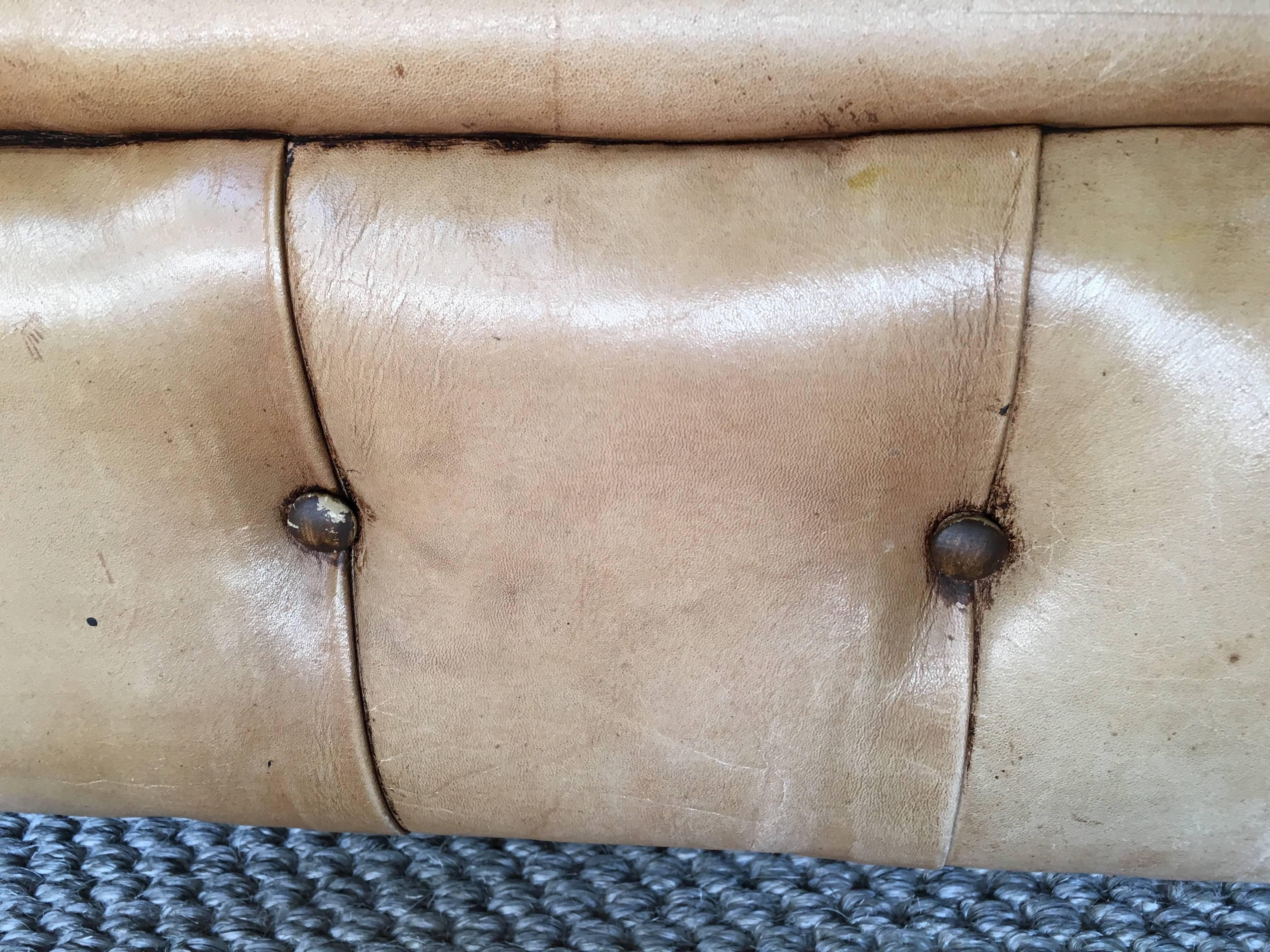 French Leather Chesterfield Sofa, circa 1900 4