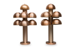Pair of "Cantharelle" Table Lamps by RAAK