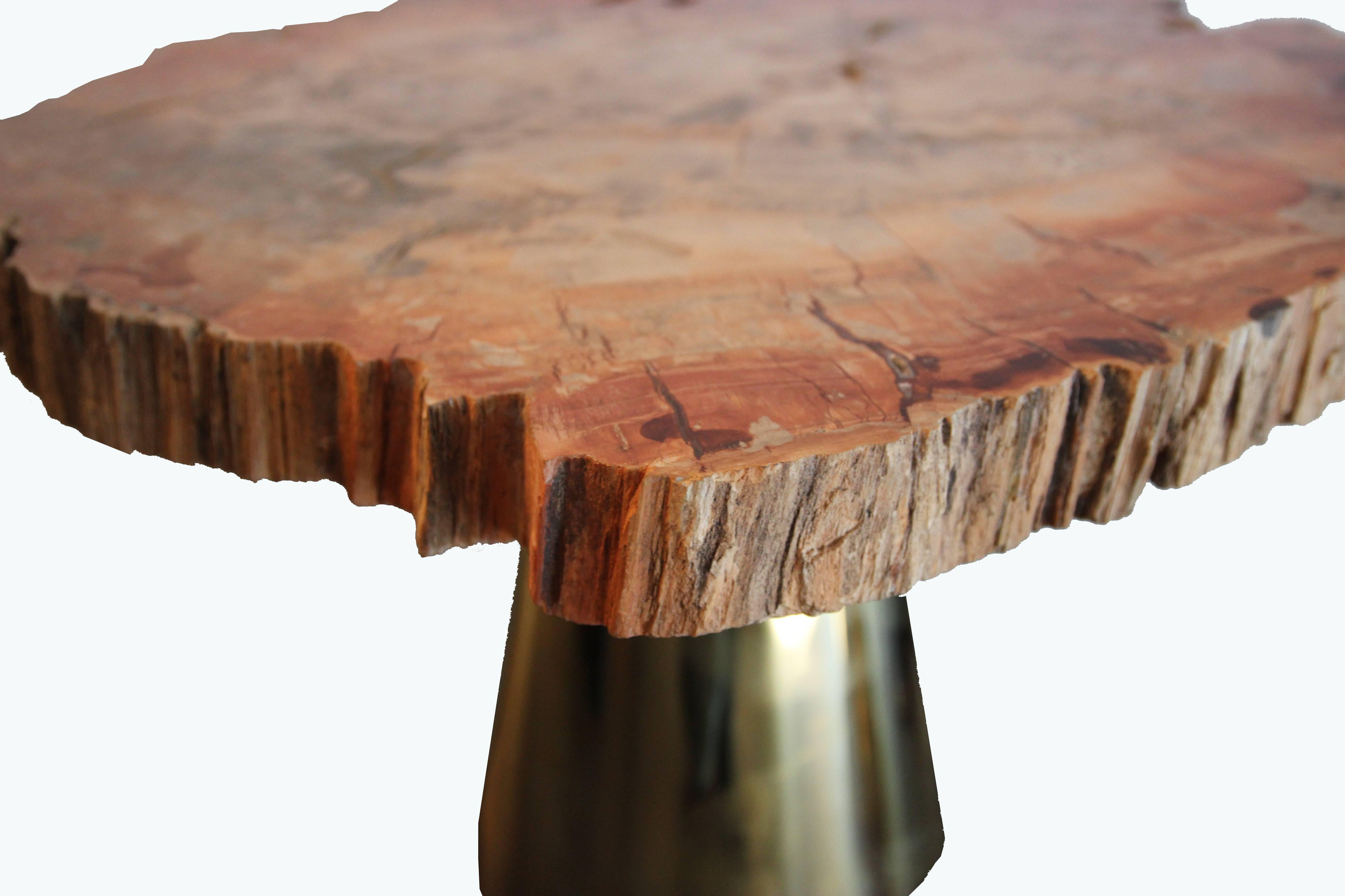 Italian Pair of Coffee Tables, Gold Brass and Marble Top 'Fossilized Wood', circa 2010