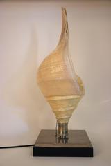 Anthony Redmile, Seashell Lamp, Signed, circa 1970, France