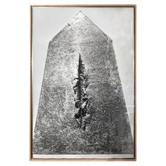 Lucio Fontana, “Big Photography”, Italia, 1962 circa
