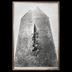 Lucio Fontana, “Big Photography”, Italia, 1962 circa