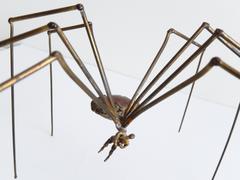 1990s Brass Spider Sculpture with Hanging Man