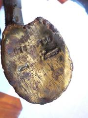 Gran Caballo de Latón del Artista Mexicano Luciano Bustamante Firmado