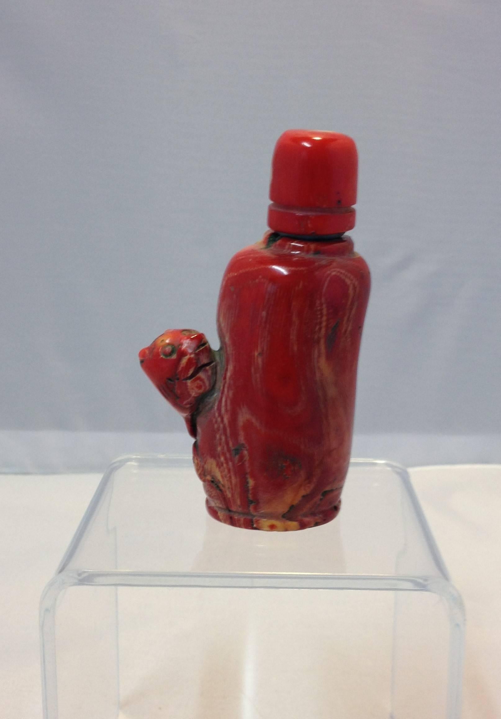 High toned antique red coral snuff bottle with original metal spoon. This bottle is a marvellous example of Chinese sculptural art. The rich red coral was a lush piece for the artist to use in making this delightful and bold sculpture.
   