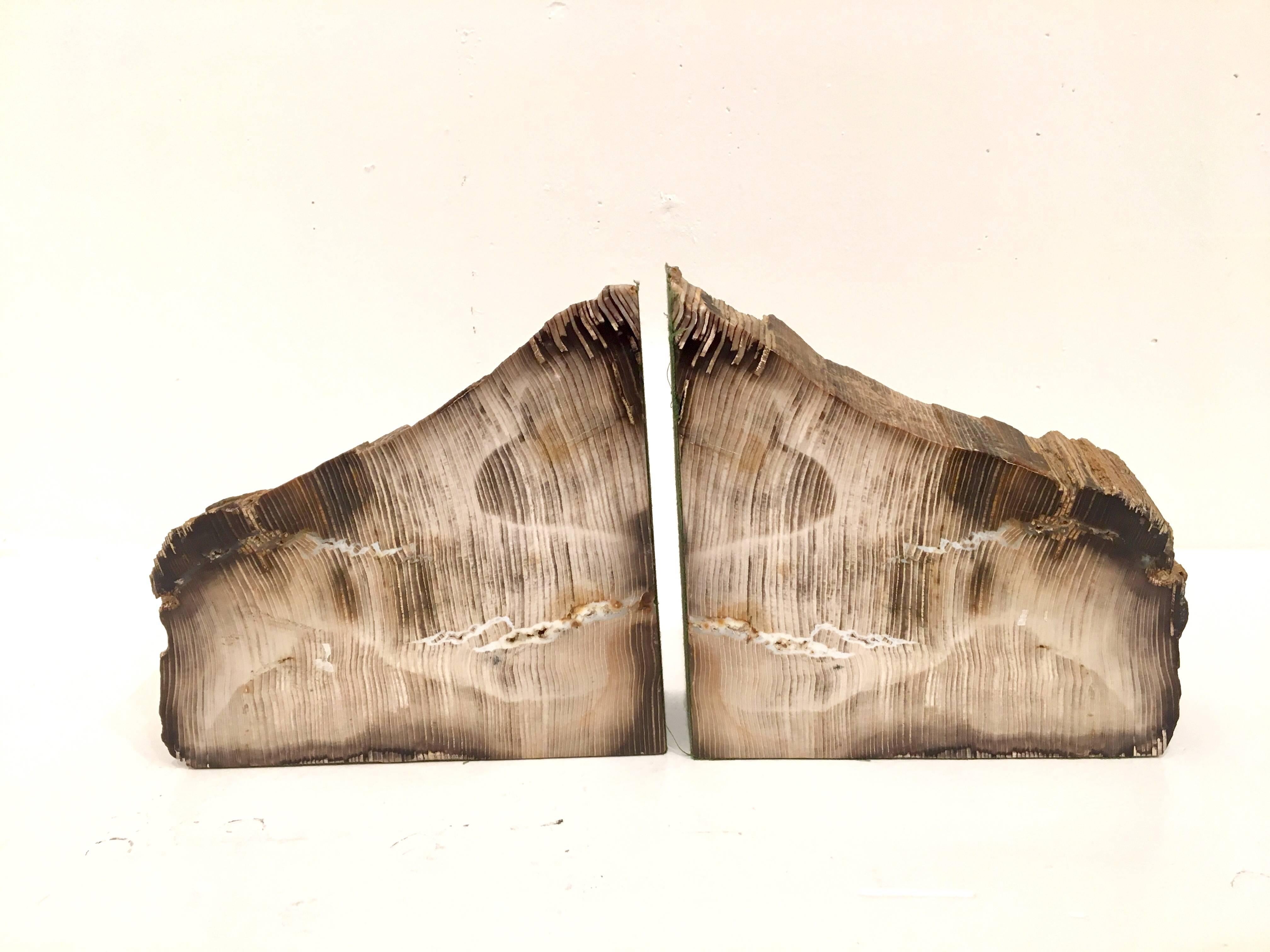 petrified wood bookends for sale
