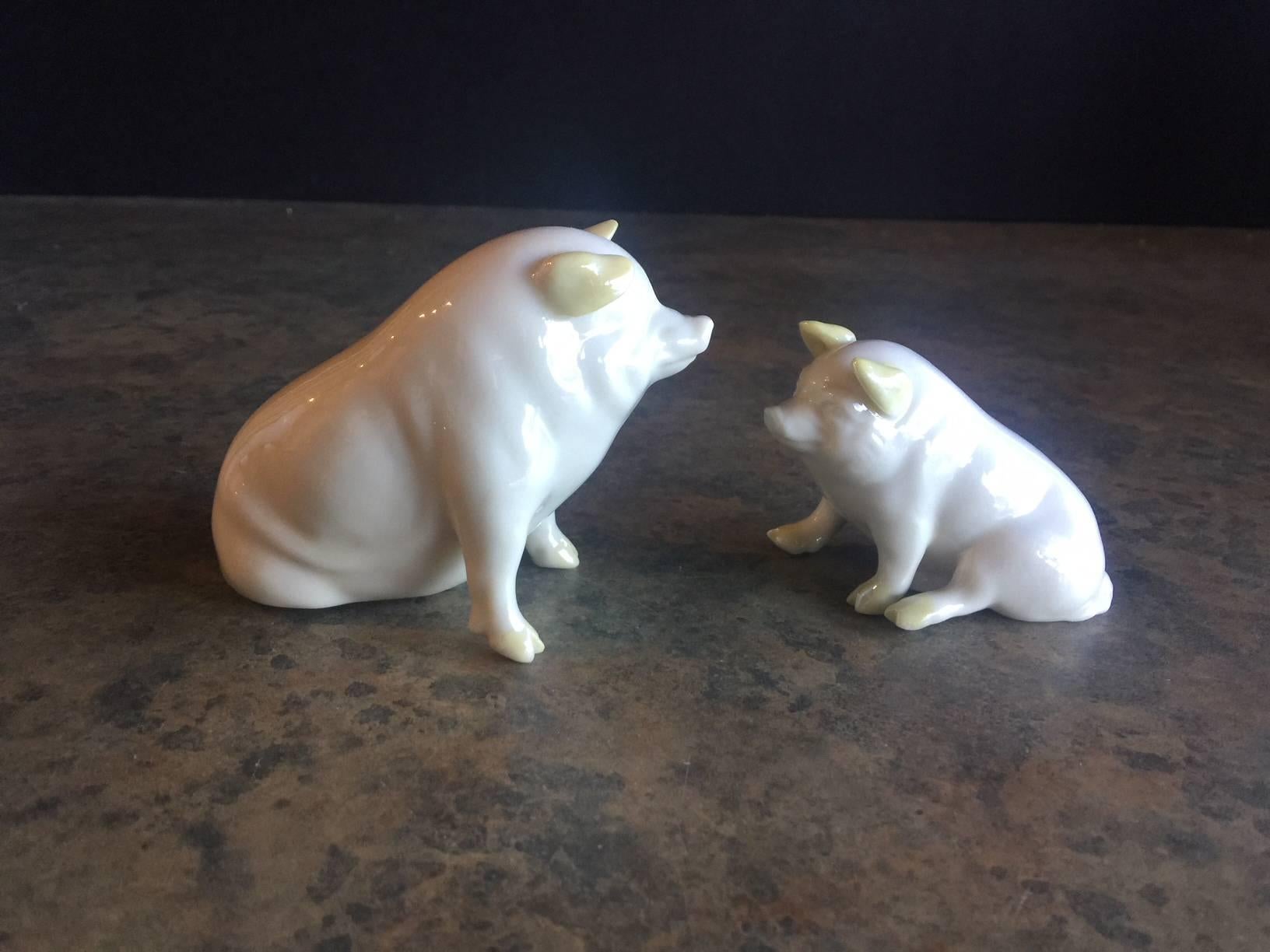 porcelain pigs