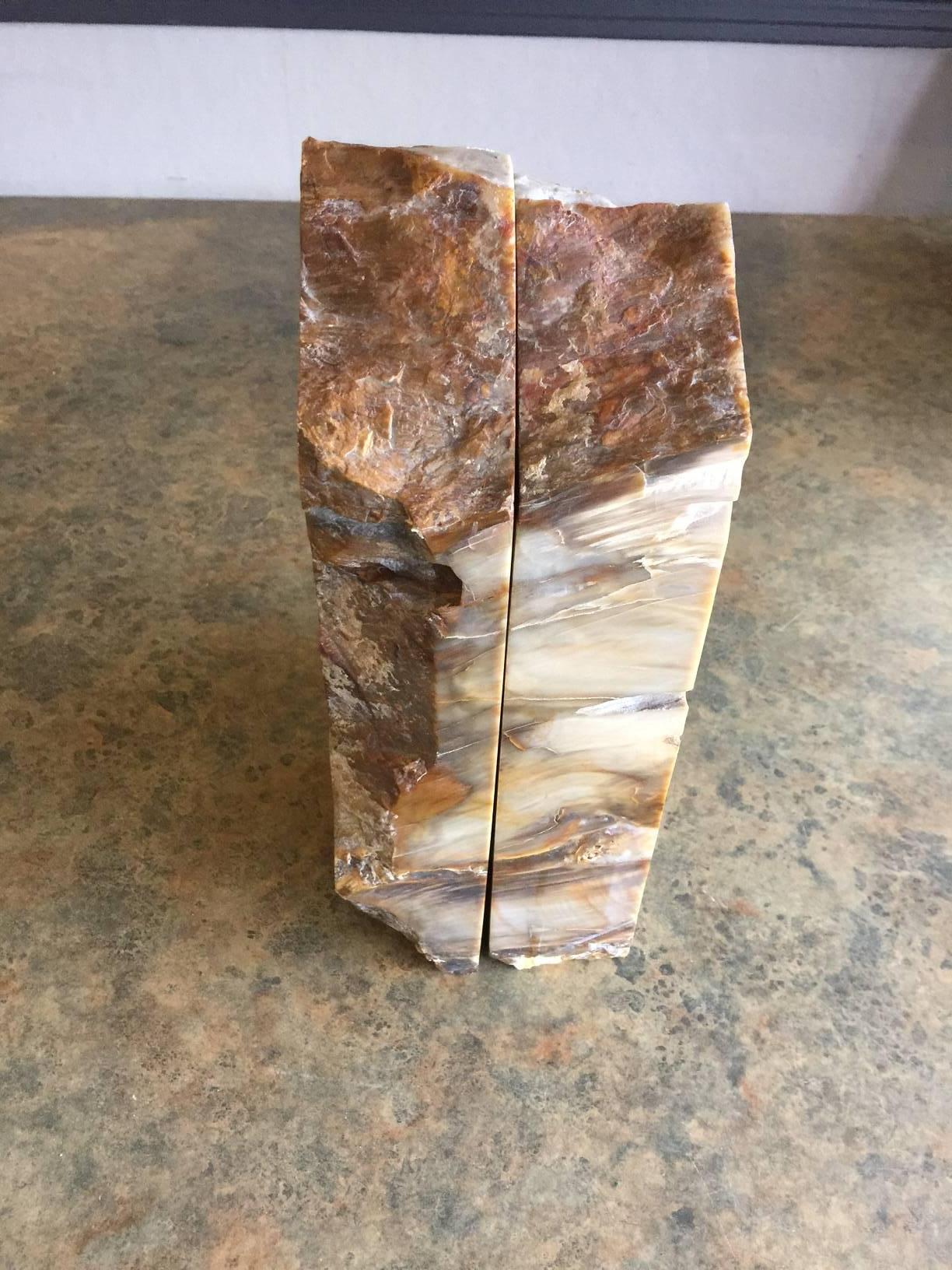 18th Century and Earlier Impressive Pair of Petrified Wood Bookends