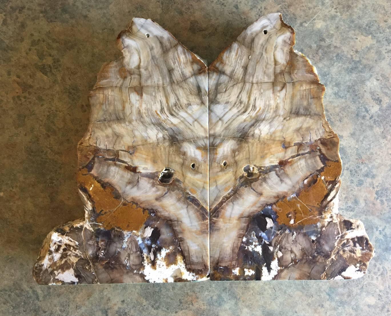 A massive pair of fossilized bookends composed of petrified wood. Brightly colored tan and brown tones with naturally formed patterns caused by fossilization over millions of years. Finished with a highly polished surface, the exterior edges